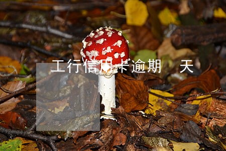工行信用卡逾期 天 工行信用卡逾期 天